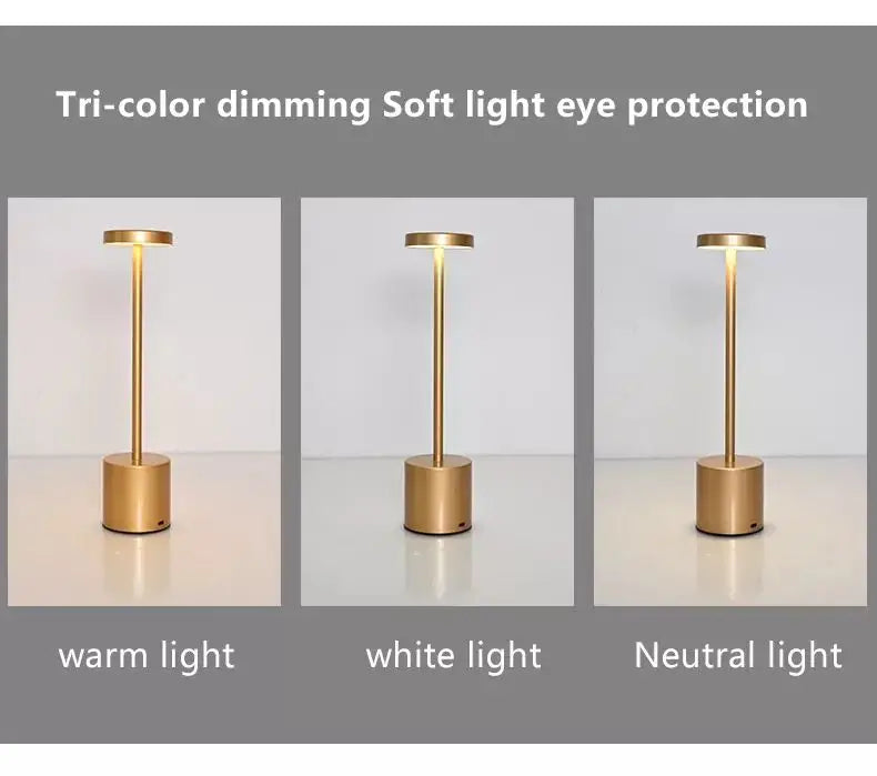 Modern LED Desk Lamp with USB Rechargeable Battery