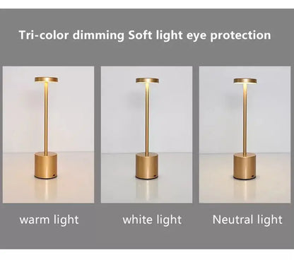 Modern LED Desk Lamp with USB Rechargeable Battery